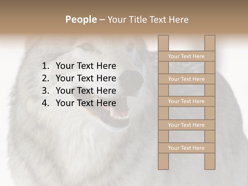 Canis Snow Wildlife PowerPoint Template