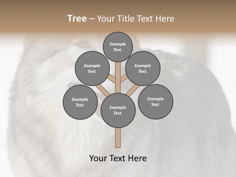 Canis Snow Wildlife PowerPoint Template