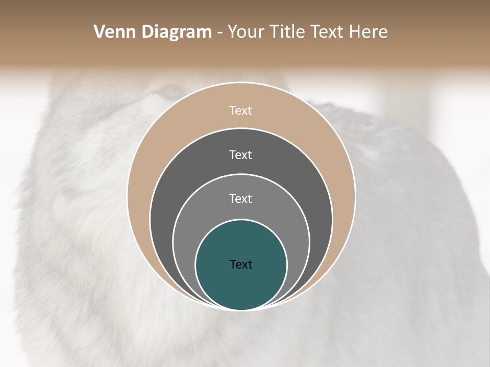 Canis Snow Wildlife PowerPoint Template