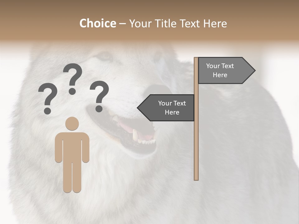 Canis Snow Wildlife PowerPoint Template