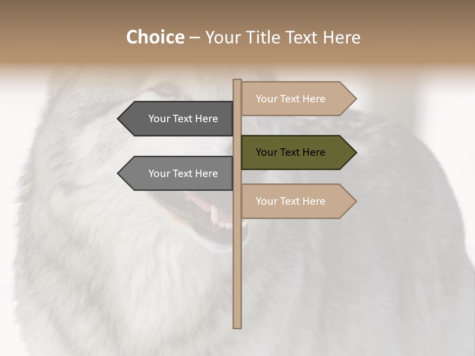 Canis Snow Wildlife PowerPoint Template