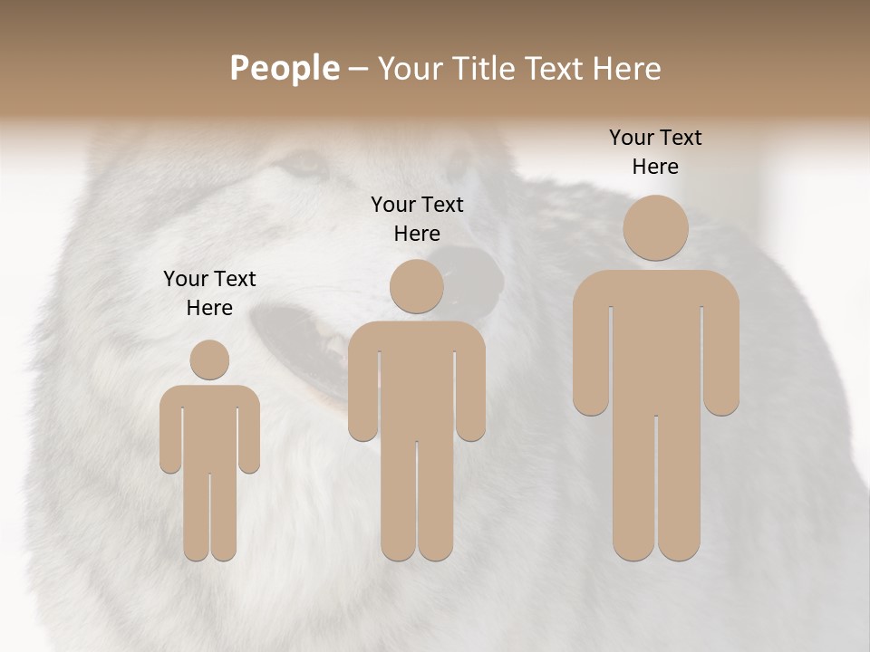 Canis Snow Wildlife PowerPoint Template