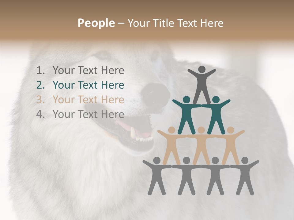 Canis Snow Wildlife PowerPoint Template