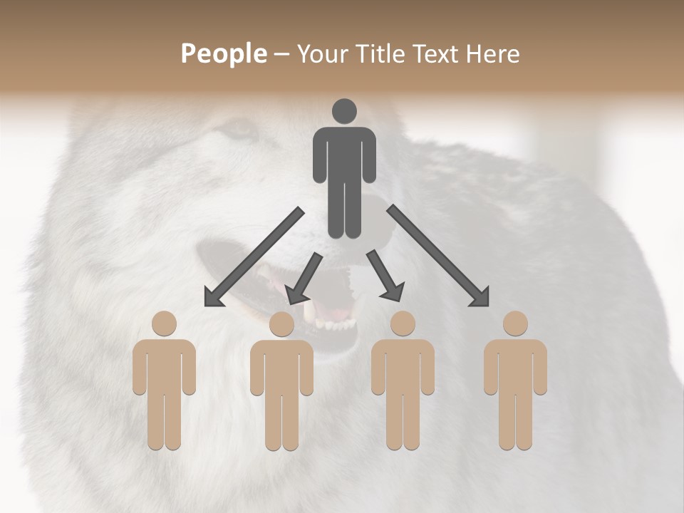 Canis Snow Wildlife PowerPoint Template