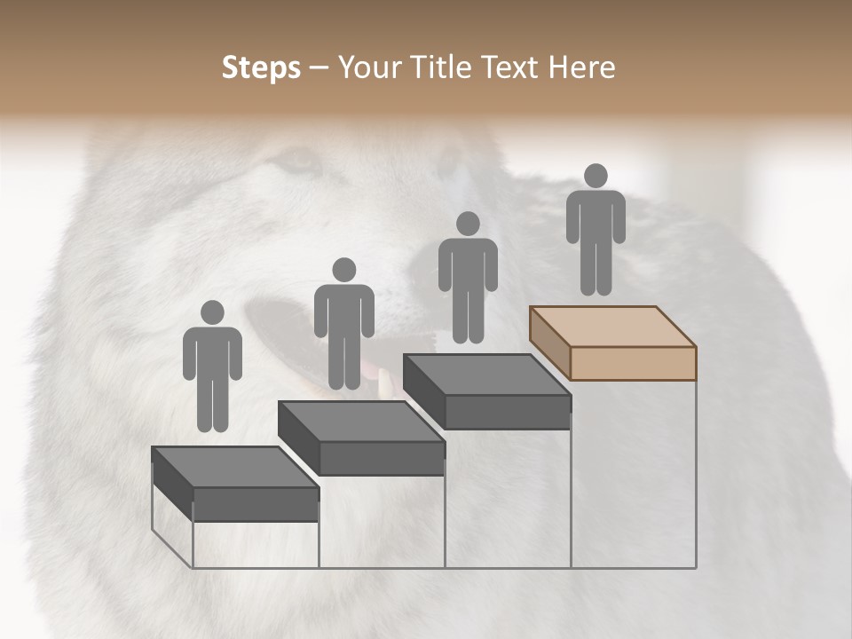 Canis Snow Wildlife PowerPoint Template