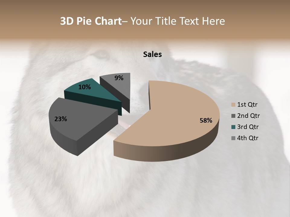 Canis Snow Wildlife PowerPoint Template