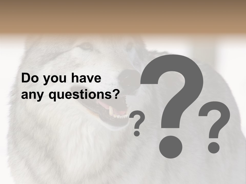 Canis Snow Wildlife PowerPoint Template