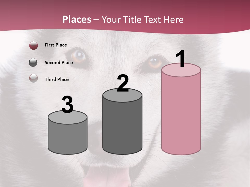 Coat Fear Puppy PowerPoint Template