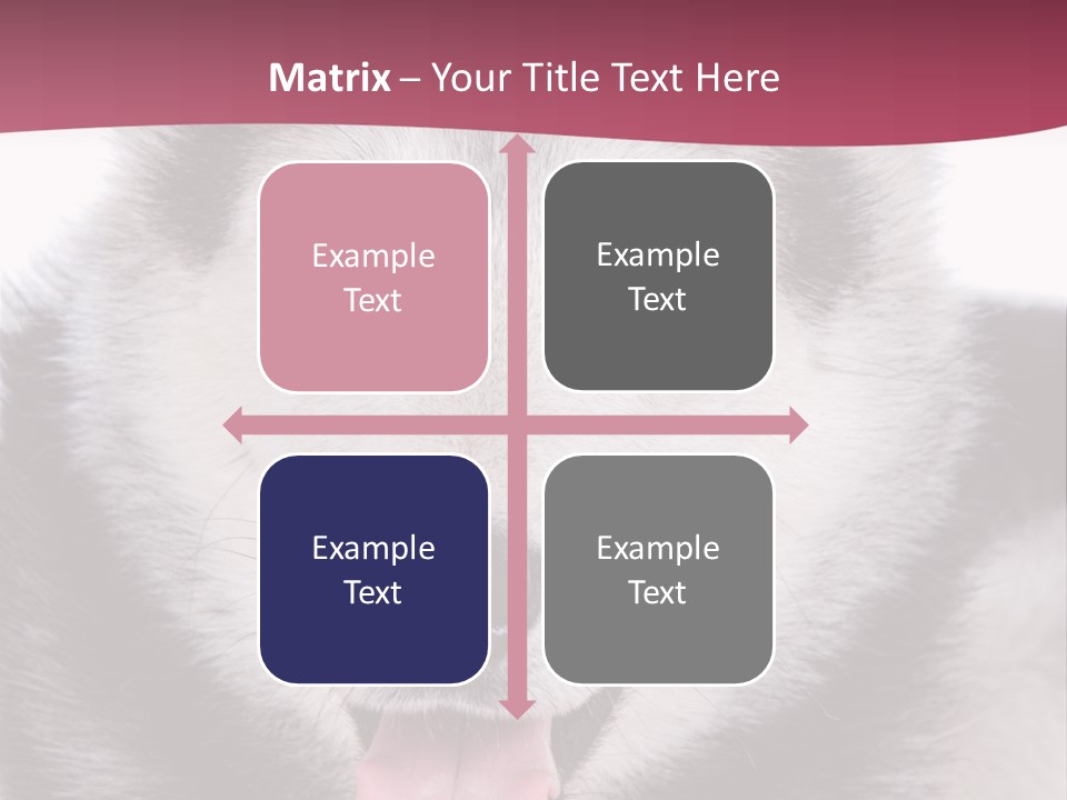 Coat Fear Puppy PowerPoint Template