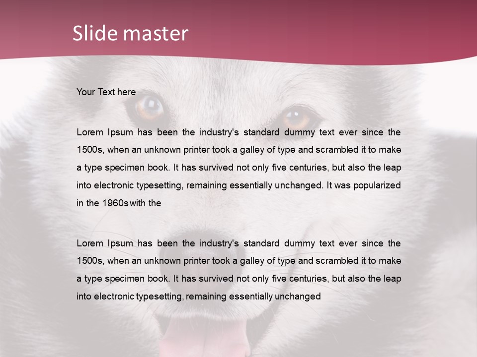 Coat Fear Puppy PowerPoint Template