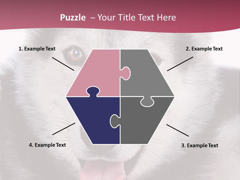 Coat Fear Puppy PowerPoint Template