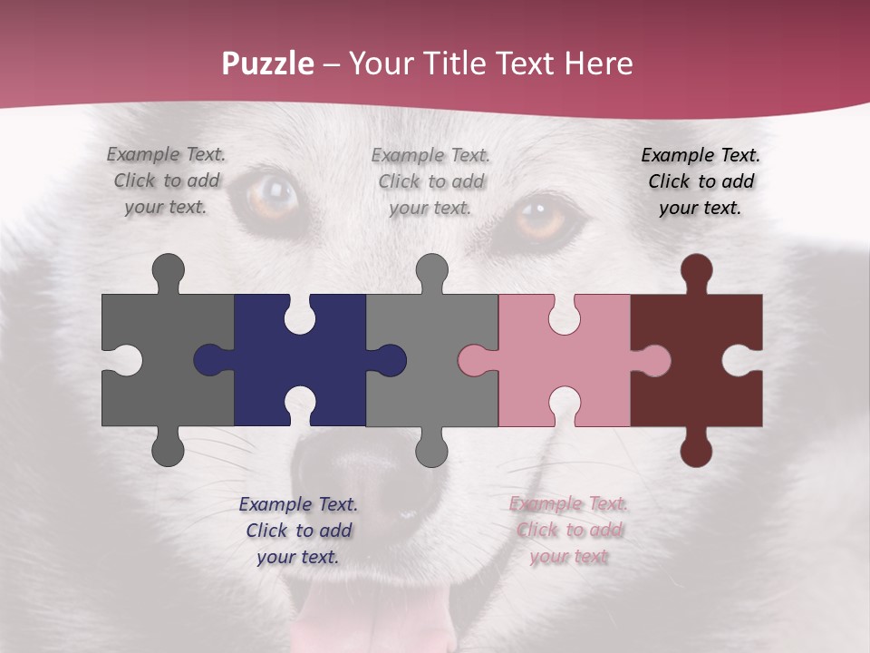 Coat Fear Puppy PowerPoint Template