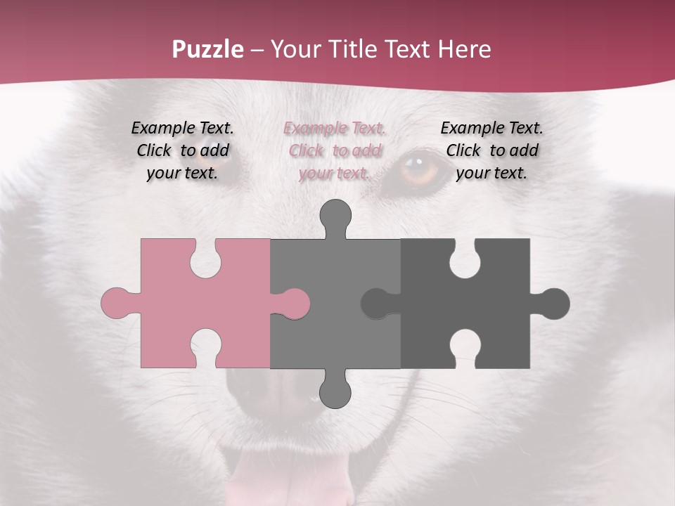 Coat Fear Puppy PowerPoint Template