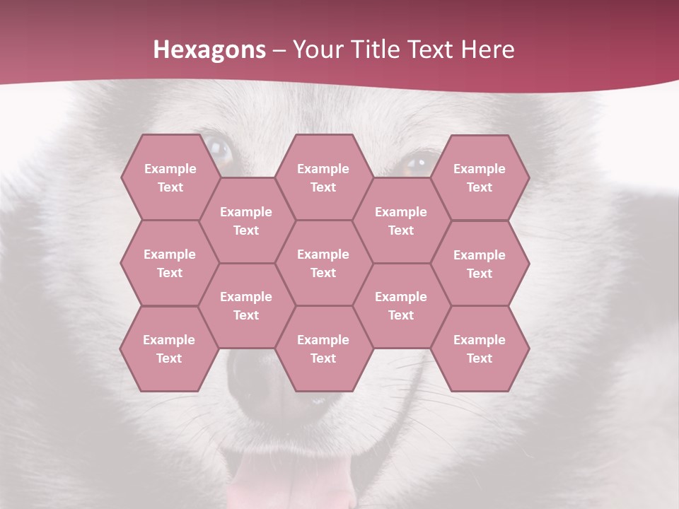 Coat Fear Puppy PowerPoint Template