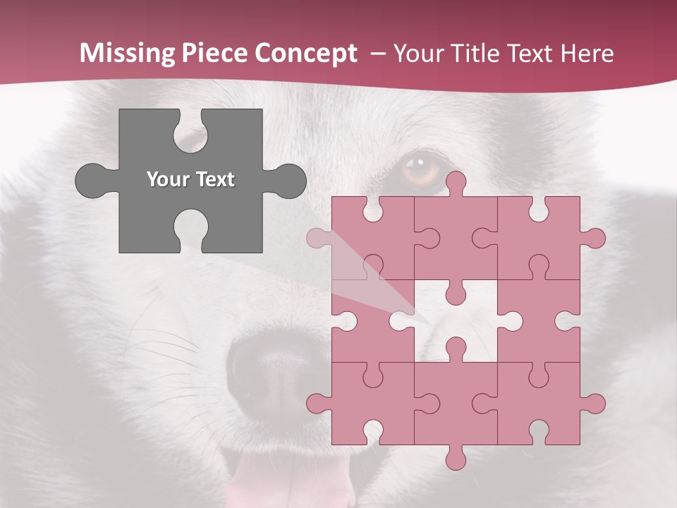 Coat Fear Puppy PowerPoint Template