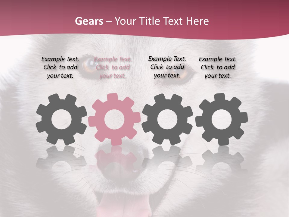 Coat Fear Puppy PowerPoint Template
