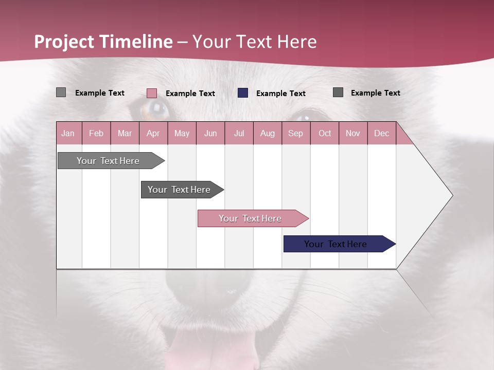 Coat Fear Puppy PowerPoint Template