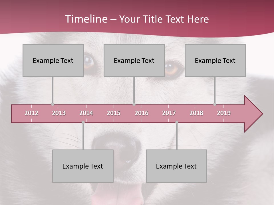 Coat Fear Puppy PowerPoint Template