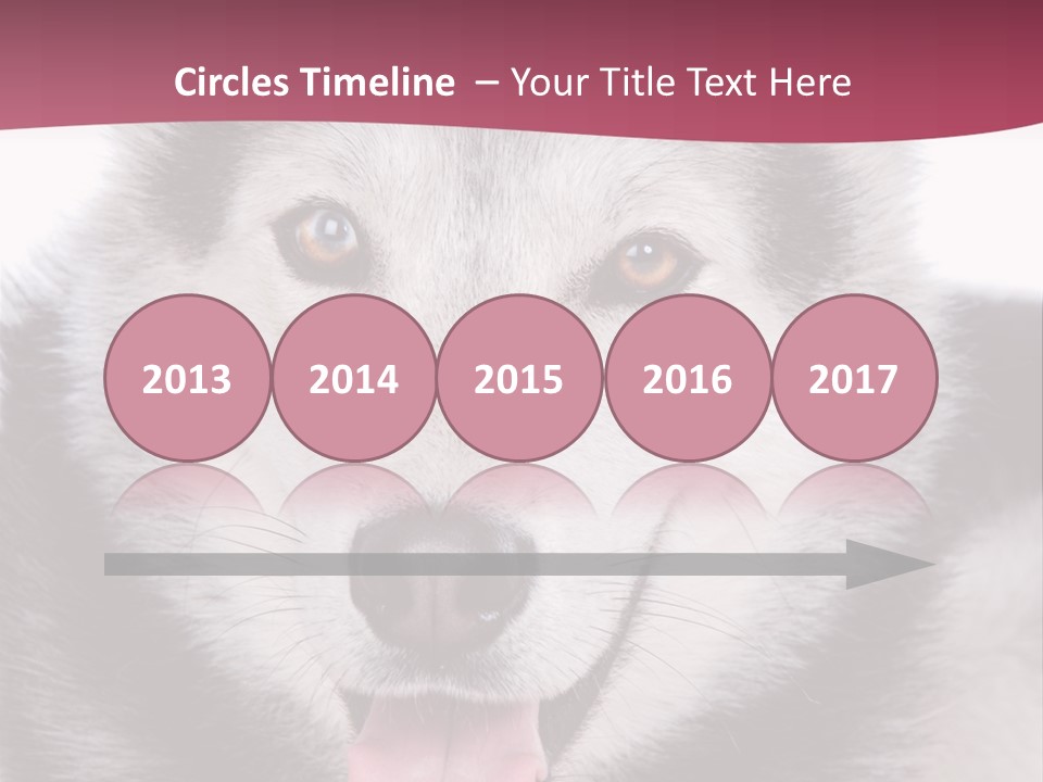 Coat Fear Puppy PowerPoint Template