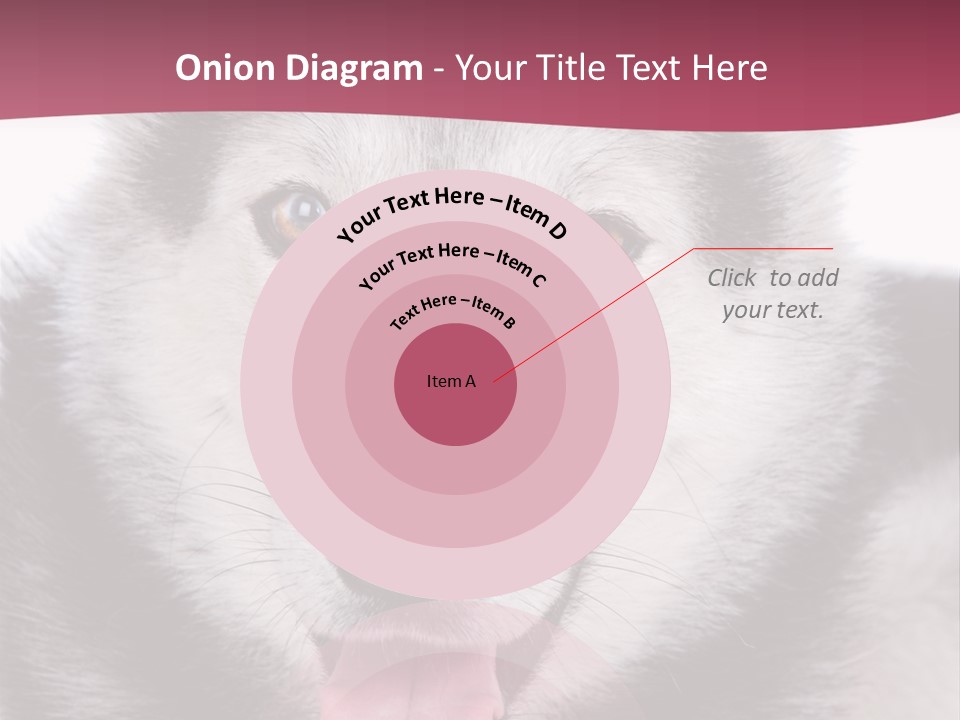 Coat Fear Puppy PowerPoint Template