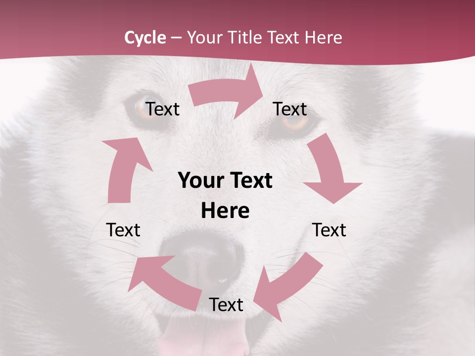 Coat Fear Puppy PowerPoint Template