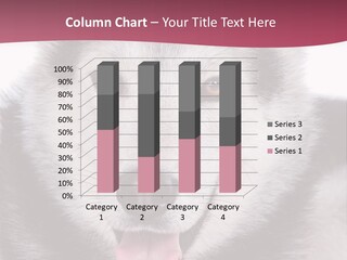 Coat Fear Puppy PowerPoint Template