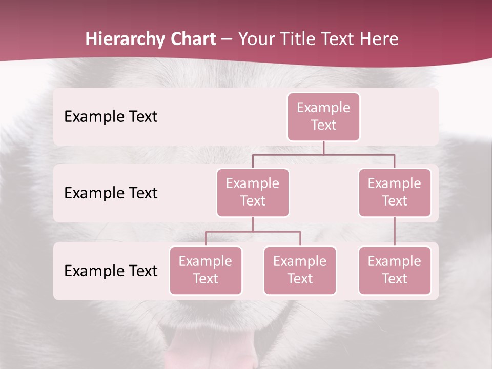 Coat Fear Puppy PowerPoint Template