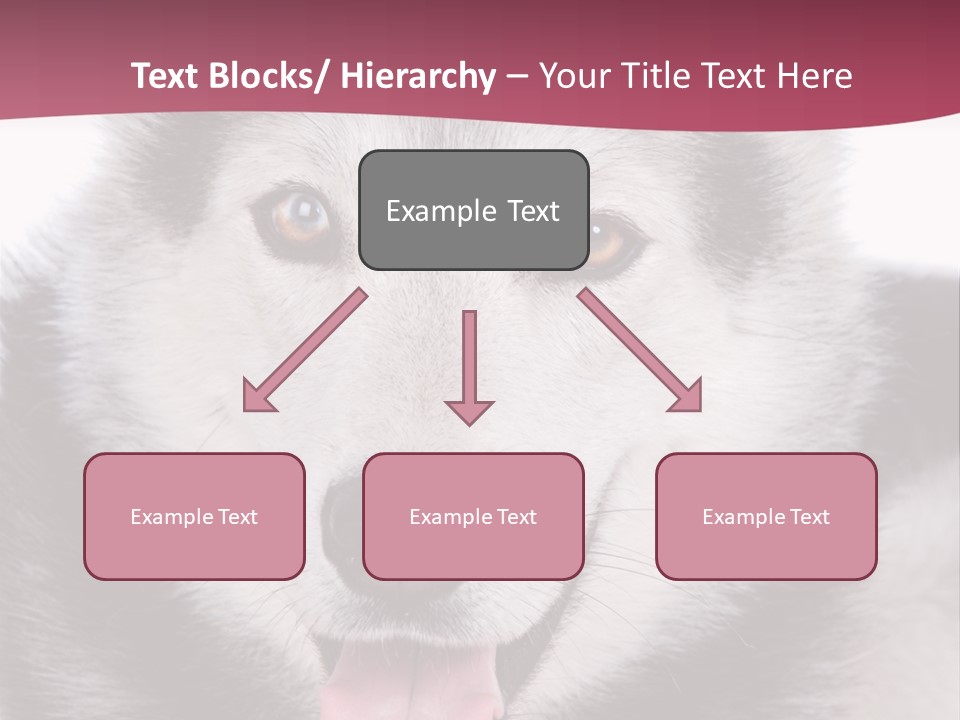 Coat Fear Puppy PowerPoint Template