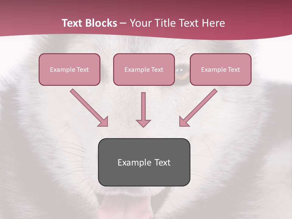 Coat Fear Puppy PowerPoint Template