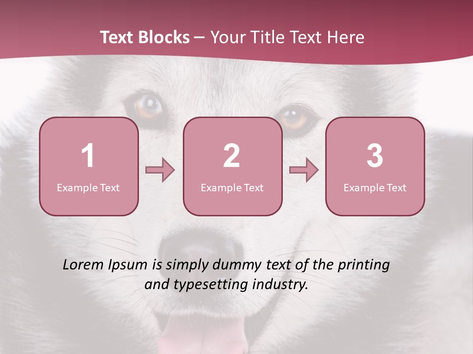 Coat Fear Puppy PowerPoint Template