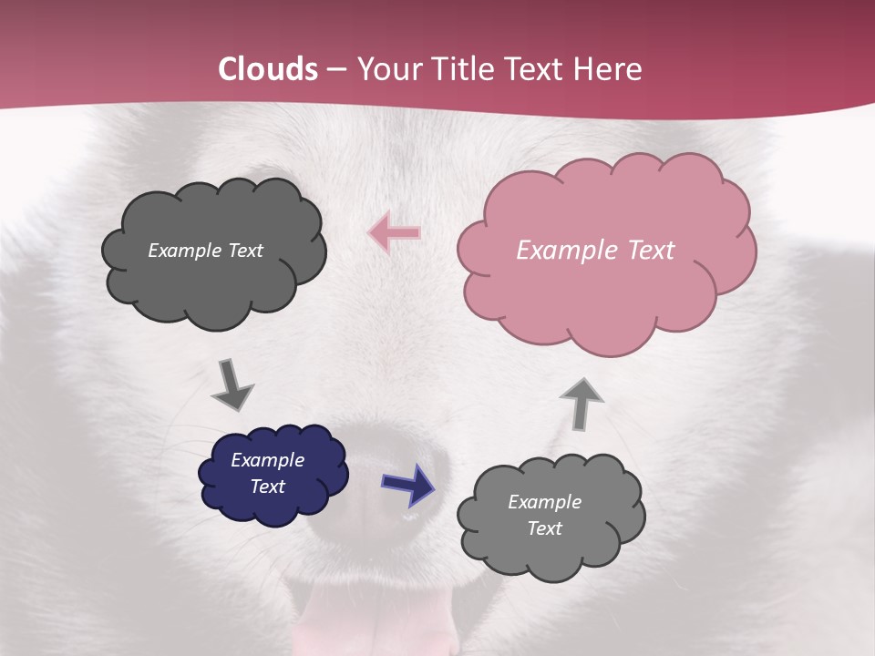 Coat Fear Puppy PowerPoint Template