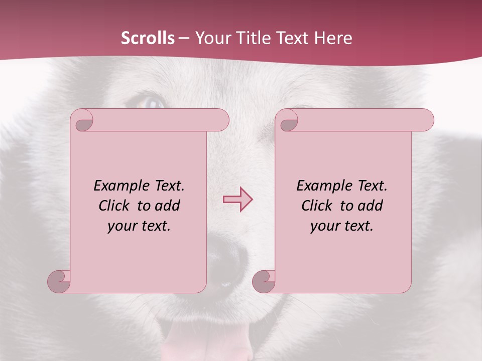 Coat Fear Puppy PowerPoint Template