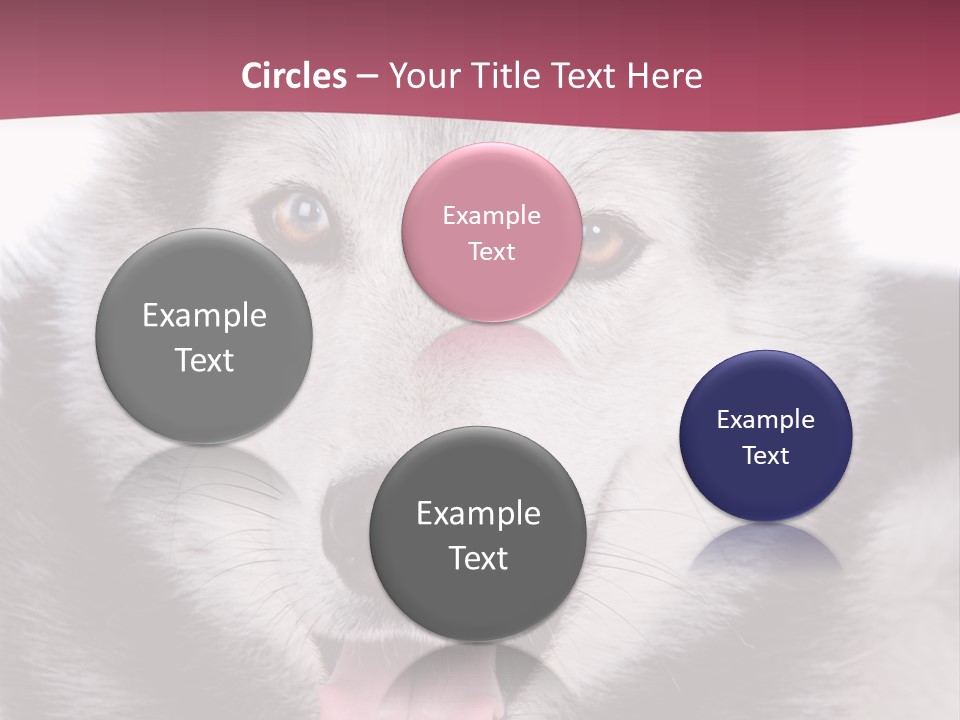 Coat Fear Puppy PowerPoint Template