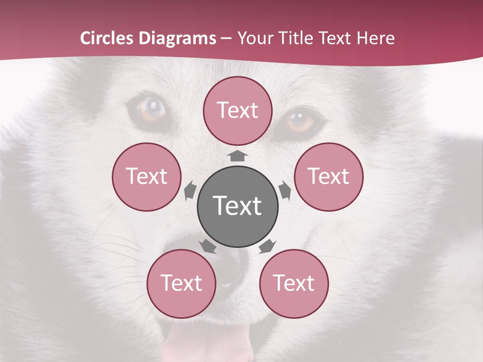 Coat Fear Puppy PowerPoint Template