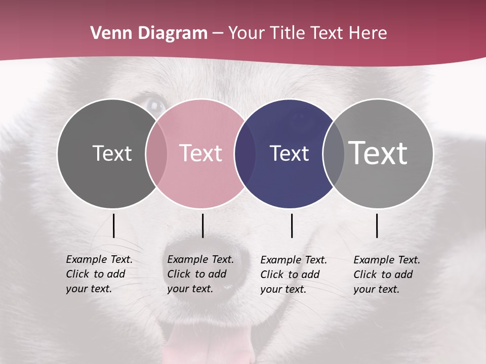 Coat Fear Puppy PowerPoint Template