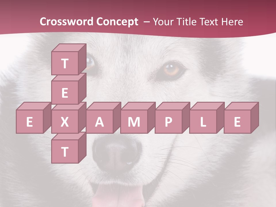 Coat Fear Puppy PowerPoint Template