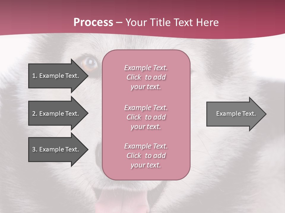 Coat Fear Puppy PowerPoint Template