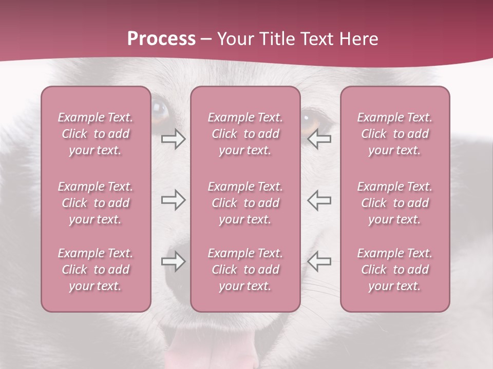 Coat Fear Puppy PowerPoint Template