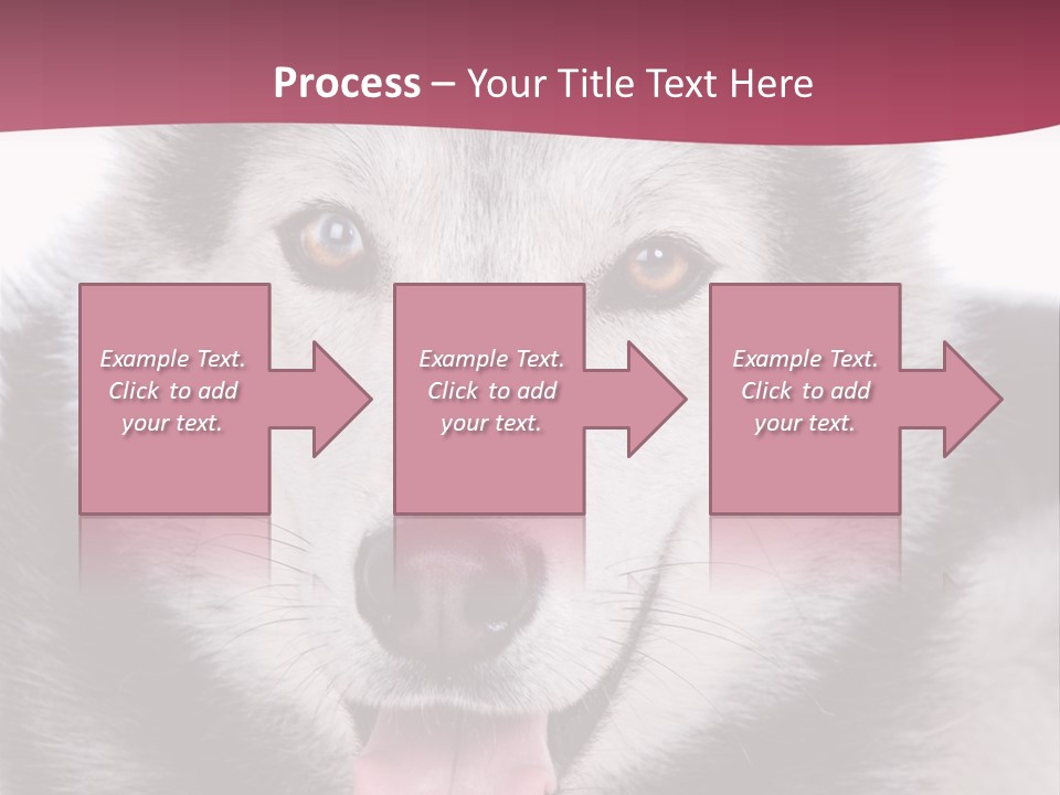 Coat Fear Puppy PowerPoint Template