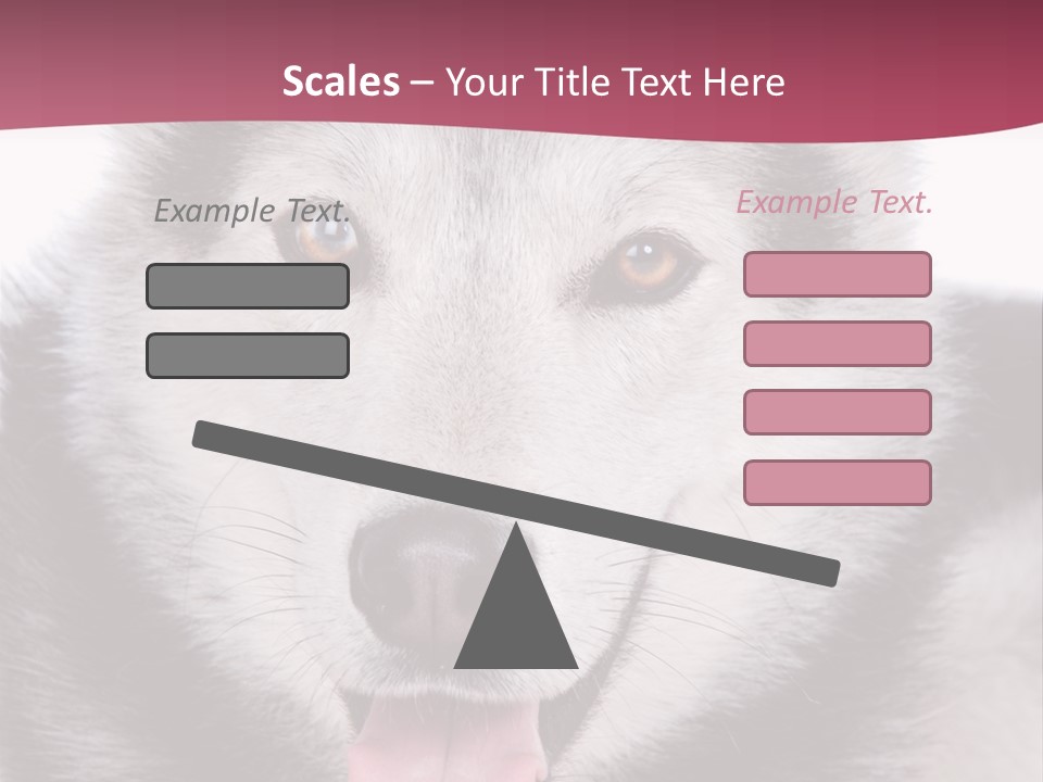 Coat Fear Puppy PowerPoint Template