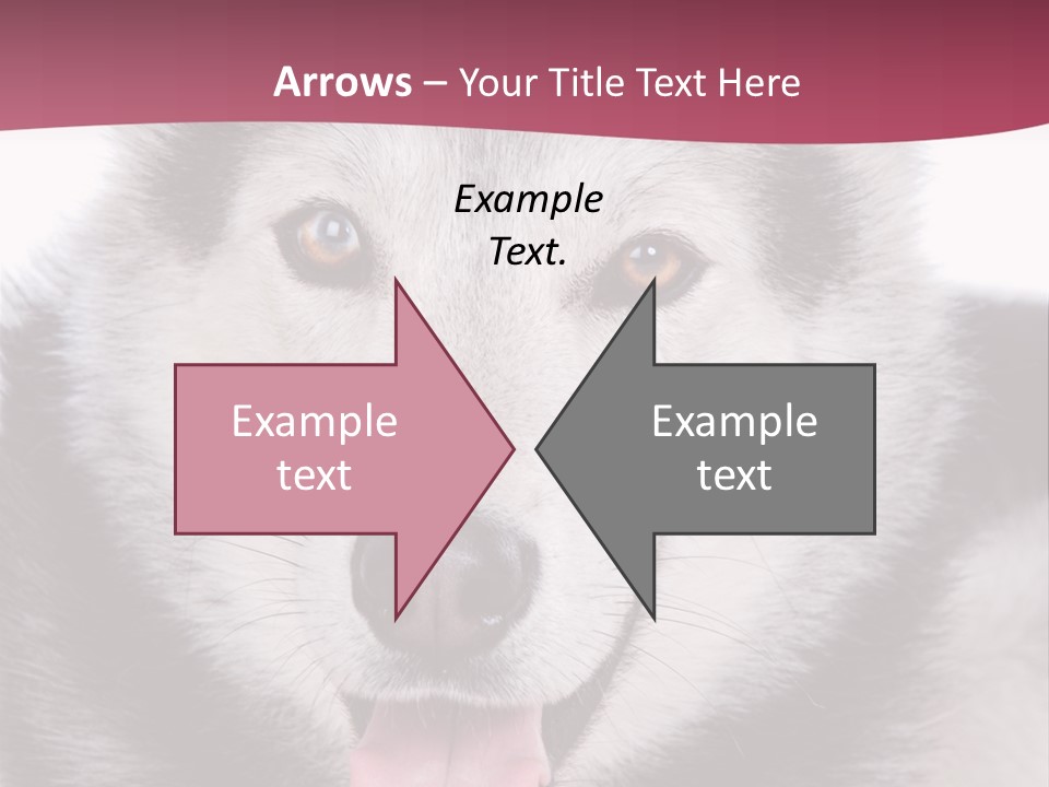 Coat Fear Puppy PowerPoint Template