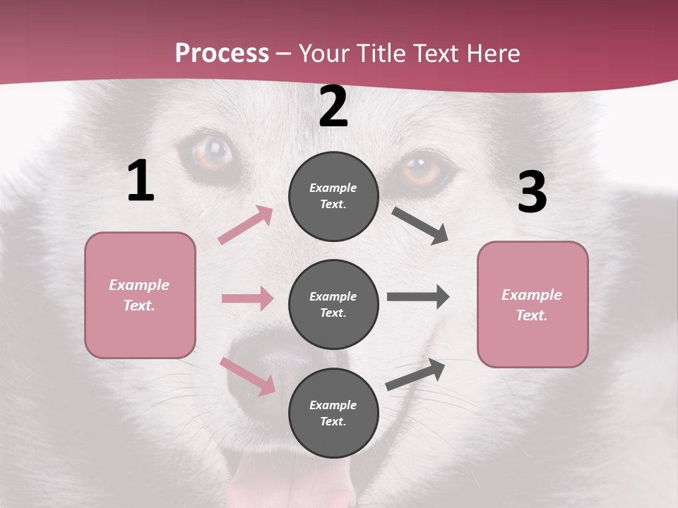 Coat Fear Puppy PowerPoint Template