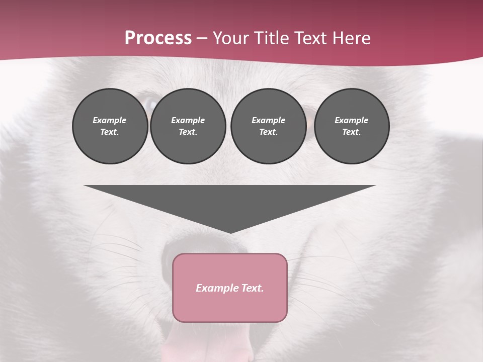 Coat Fear Puppy PowerPoint Template