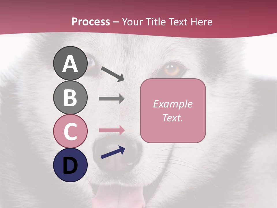 Coat Fear Puppy PowerPoint Template