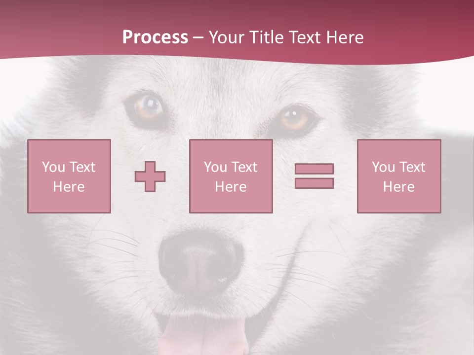 Coat Fear Puppy PowerPoint Template