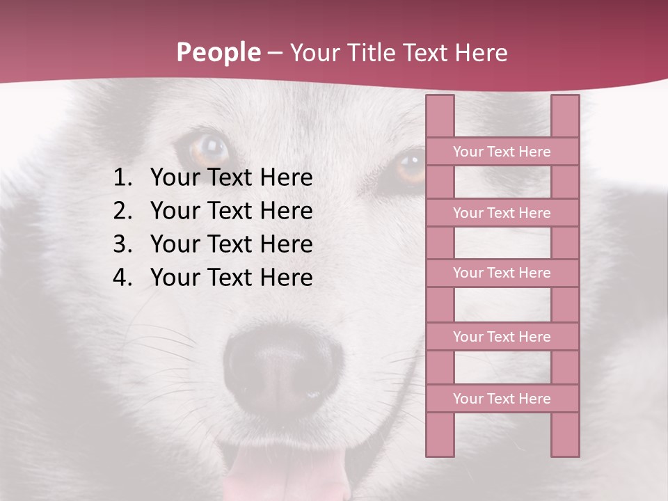 Coat Fear Puppy PowerPoint Template