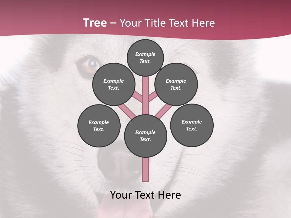 Coat Fear Puppy PowerPoint Template