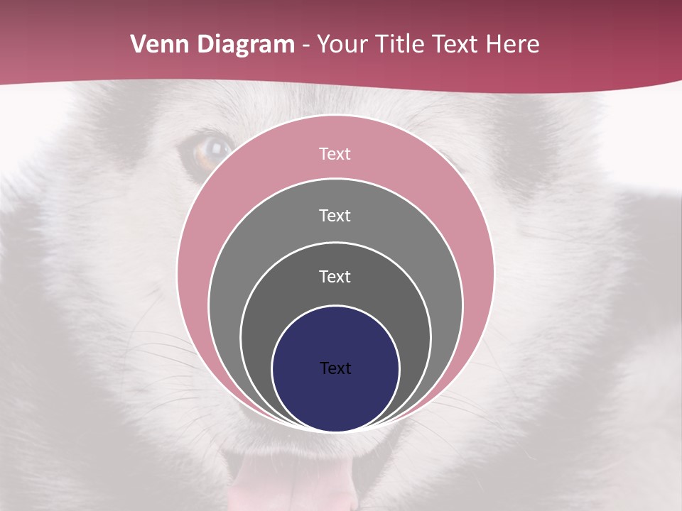 Coat Fear Puppy PowerPoint Template