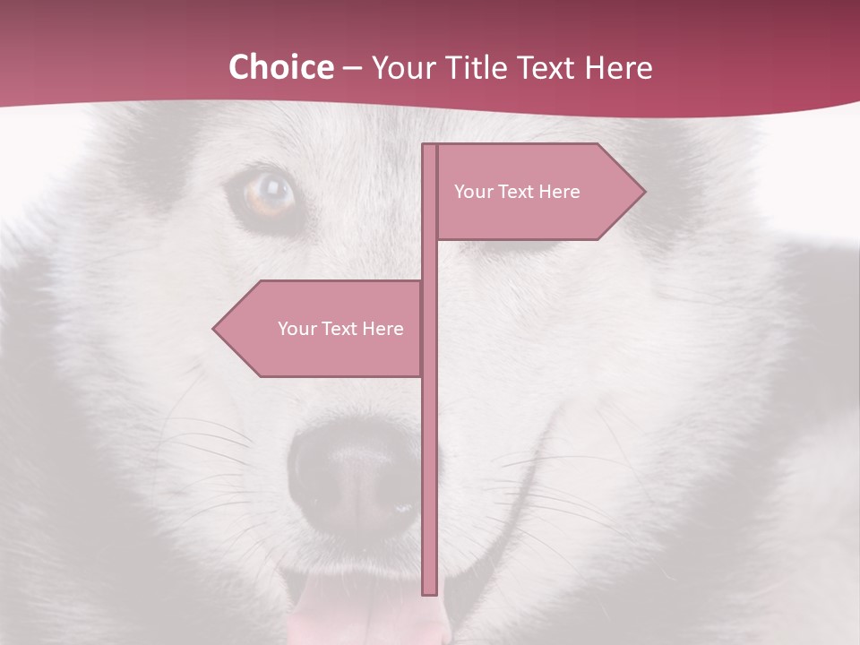 Coat Fear Puppy PowerPoint Template