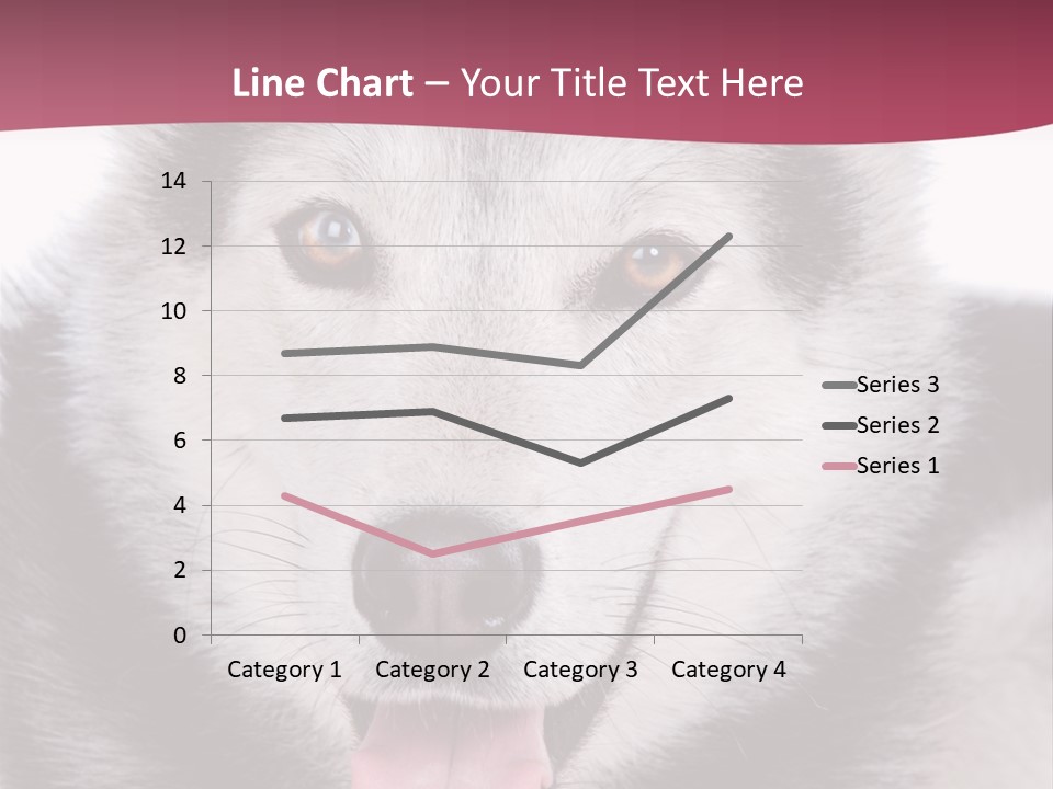 Coat Fear Puppy PowerPoint Template